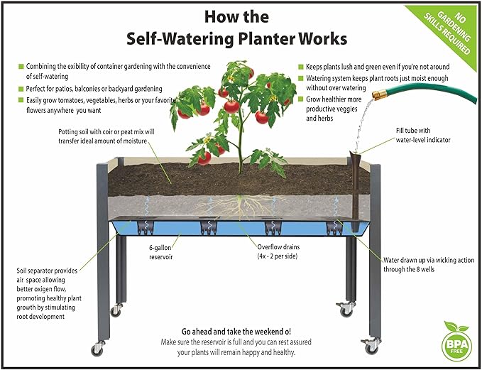 CedarCraft Self-Watering Raised Garden Bed (21 x 47 x 32H) - Container Gardening with The Convenience of a Self-Watering Irrigation System. Made in Canada.