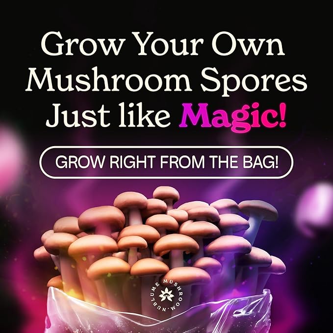 3LB All in One Magic Mushroom Grow Kit: Up to 48oz Yield! 0.2 Micron Filter + Injection Port - Mycologist Designed - Just Add Spores &amp Grow Like Magic