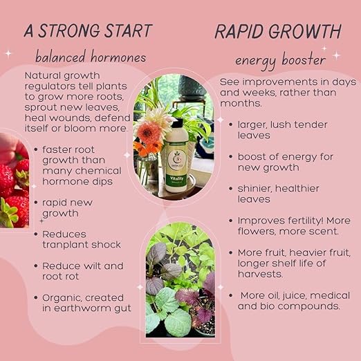 VermisTerra Vitality 32 oz - Houseplant and Indoor Plant Food Mother Earth's Balanced Fertilizer Organic Root Cuttings No Harmful Chemicals Wont Burn Plants Lush Growth. No Odor Reduces Shock