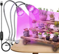 CFGROW Small Led Grow Light Desk Clip LED Plant Grow Lamp 21W with 3pcs 360° Flexible Goosenecks for Indoor Office Home Garden Greenhouse Table Plants Growing Lighting
