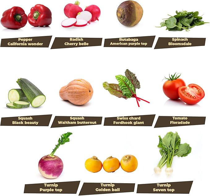 33 Variety Seed Bank Survival Gear 30000 Premium Non-GMO Open Pollinated Heirloom Seeds Made in USA