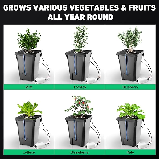 4 Buckets DWC Hydroponics Growing System with Top Drip Kit 7 Gallon Deep Water Culture Bucket System with Air Pump Air Stone Air Hose Recirculating Drip Garden System
