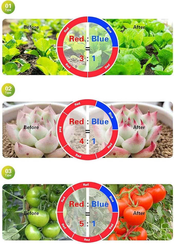 DC 12V 5050 LED Growth Lights Plant Growing LED Strip Light Tape Set with Power and Switch for Aquarium Hydroponic Plant (RED:Blue=3:1 5M Set Waterproof)