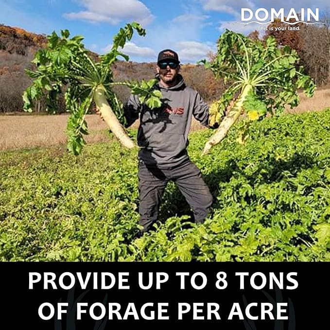 Domain Outdoor Illicit Food Plot Seed Fast Growing Variety of Deer Radish Perfect Seed for Spring Summer or Fall Leafy Greens Sugar-Filled Tap Root Up to 8 Tons of Forage Per Acre 1/2 Acre