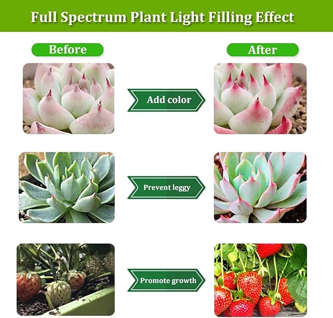 LED Grow Light USB Indoor Full Spectrum Phyto Grow Lamp Phytolamp for Plants 5V Lamp for Plants Growth Lighting for Indoor Plant (Size:3 HeadsColor:Natural Light)