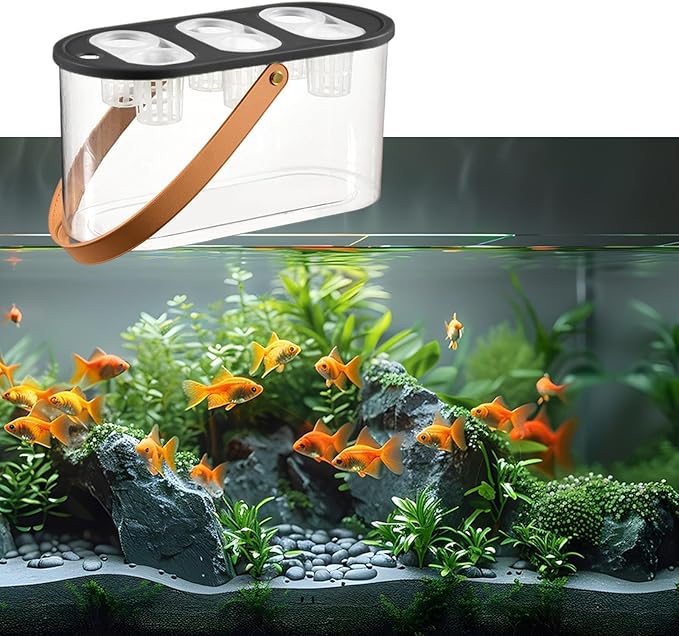 Hydroponics Grower Box with 6 Holes Hydroponic System Indoor Tabletop Mini Aquarium for Plants- Black