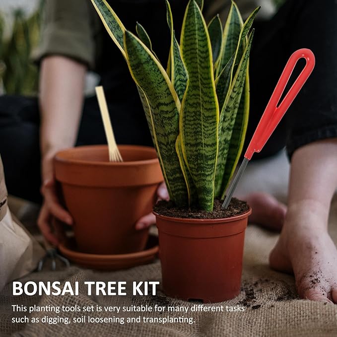 Totority 5pcs Garden Tool Set for Bonsai and Potted Plants Includes Pruning Scissors Hand Rake Soil Loosening Tools for Indoor and Outdoor Plant Care