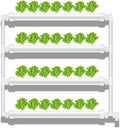 Hydroponic Growing Kits Wall Mounted Hydroponic Grow Kit 28 Plant Sites 4 PVC Pipes Hydroponics Growing System with Water Pump Water Culture Plant Growing System for Leafy Vegetables