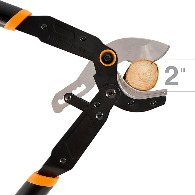 Fiskars Ratchet Drive Anvil Lopper 32 Inch Heavy Duty Tree Trimmer 2 inch Cut Capacity Riveted Handles for Easy Squeeze Cutting Power