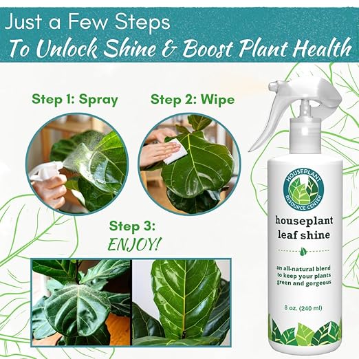 Houseplant Leaf Shine Spray – All-Natural Leaf Cleaner and Gloss for Healthy Shine &amp Better Photosynthesis | Perfect for House Plants and Foliage | 8 oz