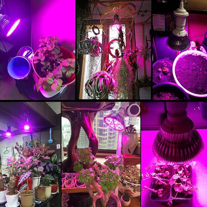 2 Pack LED Grow Light Bulb for Indoor Plants Full Spectrum Grow Lamp MILYN 100W E26 LED Plant Bulb for Seedlings Flowers Greenhouse Vegetable Succulent Houseplants Hydroponic