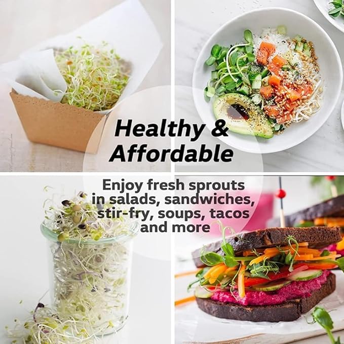 Bean Sprouts Grow Kit Air Circulation and Drainage Multipurpose Sprouts Growing Kit with 2 Bottles for Beans Alfalfa Seeds