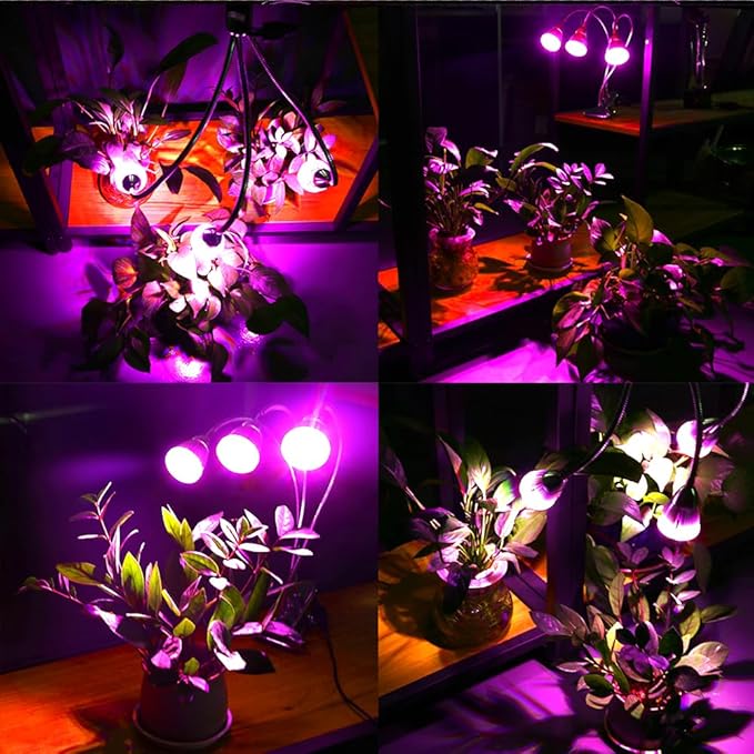 CFGROW Small Led Grow Light Desk Clip LED Plant Grow Lamp 21W with 3pcs 360° Flexible Goosenecks for Indoor Office Home Garden Greenhouse Table Plants Growing Lighting