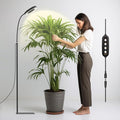 GLOWRIUM Grow Lights for Indoor Plants20W Full Spectrum LED Plant Light with StandAdjustable Height3/9/12H Timer6 Dimmable Levels &amp 3 Lighting Modes (Black-Single Head)