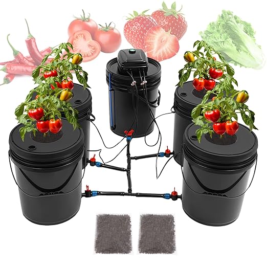 DWC Hydroponics Grow System 5-Gallon Deep Water Culture Recirculating Drip Garden System with Multi-Purpose 6m Hose Air Hose Air Pump and Air Stone for Indoor/Outdoor Leafy Vegetables