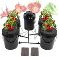DWC Hydroponics Grow System 5-Gallon Deep Water Culture Recirculating Drip Garden System with Multi-Purpose 6m Hose Air Hose Air Pump and Air Stone for Indoor/Outdoor Leafy Vegetables
