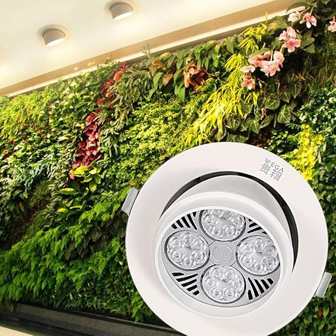 Luce di riempimento per piante da 24 W Faretto da soffitto a spettro completo per la crescita della parete di piante grasse e fiori per interni a LED