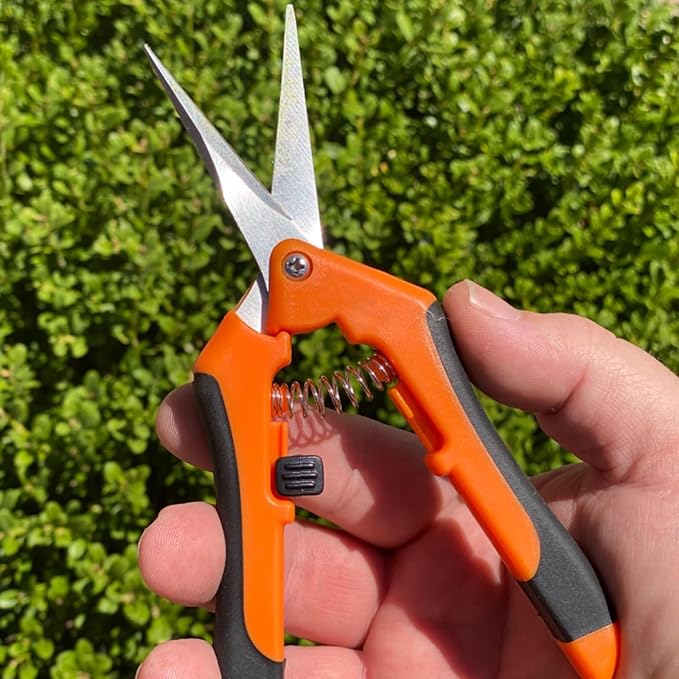 15 PCS 6.5 inch Garden Trimming Scissors Gardening Hand Pruners with Straight Stainless Steel Precision Blades Pruning Shears for Flowers Branches Precise Cuts