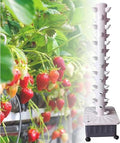 Hydroponic Tower Points Indoor Vertical Gardening Farm Greenhouse hydroponic Planting Detachable PP Planting Cup Plus Water Pump Detachable Water Tank