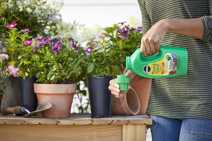 Miracle-Gro Pour &amp Feed Plant Food (Liquid) 32 fl. oz. (6 Pack)