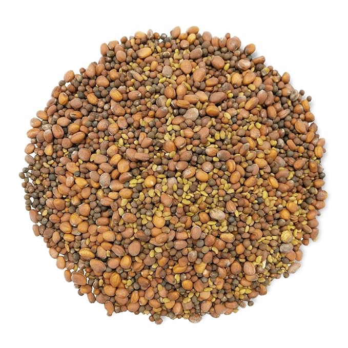 Food to Live Organic Spicy Mix of Sprouting Seeds 5 Pounds — Non-GMO Broccoli Radish Alfalfa Raw Rich Germination Rate Non-Irradiated Pure Kosher Vegan Superfood Bulk Rich in Sulforaphane