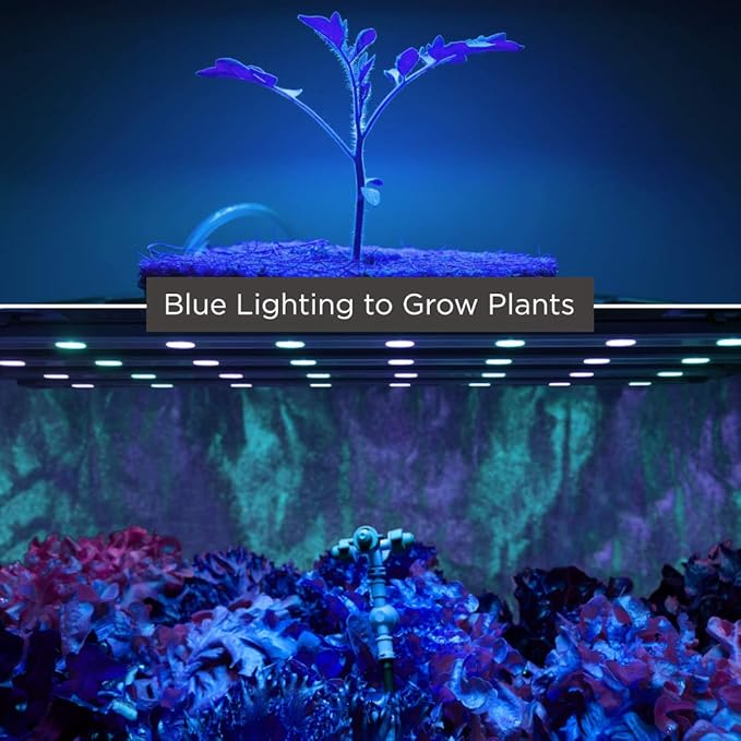 GoodBulb 75W Plant Grow Light Bulb | Blue Grow Light | R30 Shape &amp E26 Base | High Output Grow Light | Ideal for Indoor Plants Seeds Veg and Flower | Pack of 10 Bulbs