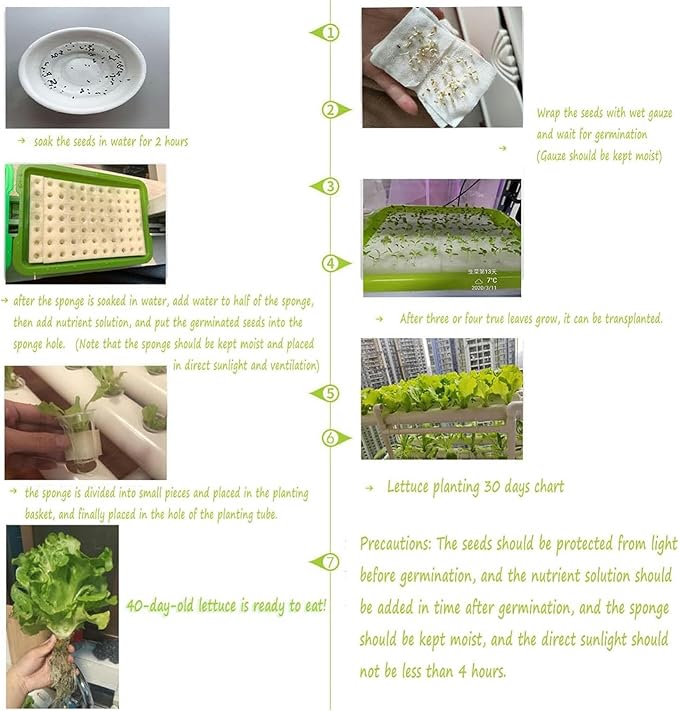 XENITE Hydroponics System Single-Layer Hydroponic Planter 36 Holes with 30L Folding Water Tank for Leaf Vegetables at Home 0826(Color:Pads Style)