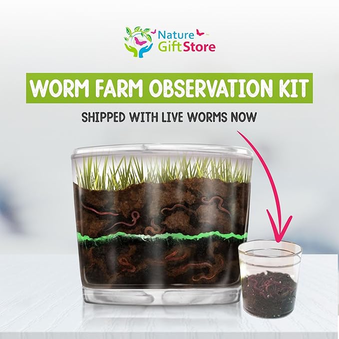 Worm Farm for Kids Shipped with Live Worms - Observation Kit with Ecosystem Soil Mixing Sand Magnifying Glass &amp More from Nature Gift Store