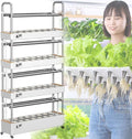 Smart Hydroponics Growing Kit With light 48/64/90/120Hole Hydroponics Indoor Self-watering Growing KitSoilless Cultivation Grow Tower with Pump Indoor Vegetable Plant Tower64hole