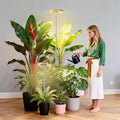 2 Packs Plant Grow LightGrow Lights for Indoor Plants80 LEDs Full Spectrum Plant Lights for Indoor Growing with 6/12/16H Timer-WG2
