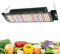 LED Grow Lights for Seed Starting Vegetables Bloom 50/240 Watt Dimmable Plant Light Dimming Grow Lights for Indoor Plants Full Spectrum in 4x2/3x3 Grow Tent50W