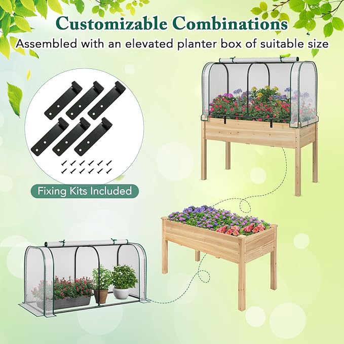 Raised Garden Bed with Greenhouse Waterproof Sun-Protective Green House with Roll-Up Door &amp Electroplated Metal Frame Pine Wood Elevated Planter Box with Drainage Holes(White+Natural)
