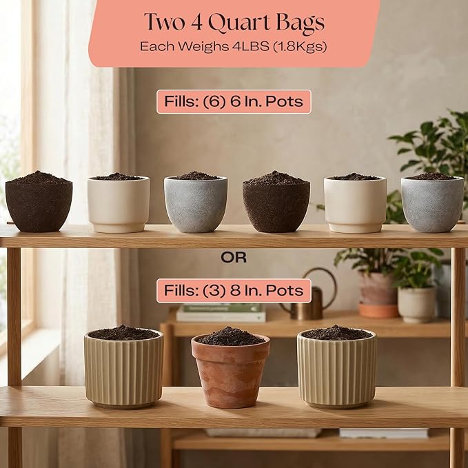 Rosy Soil Cactus and Succulent Potting Soil Mix for Houseplants - Fast Draining Organic Potting Soil for Succulents AloeVera Indoor Plant - Root Boosting for Drought Tolerant Growth Pack of 2