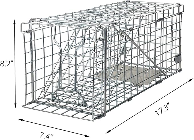Gingbau Squirrel Trap Foldable Heavy Duty Humane Live Animal Cage Trap (Not for Mouse)