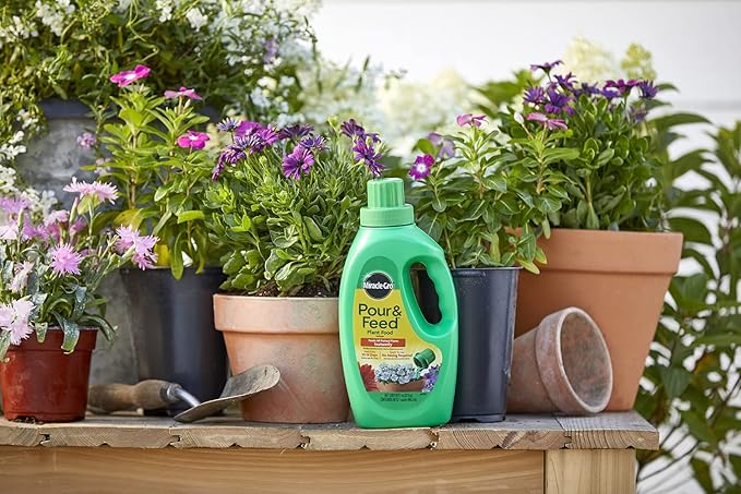 Miracle-Gro Pour &amp Feed Plant Food (Liquid) 32 fl. oz. (6 Pack)