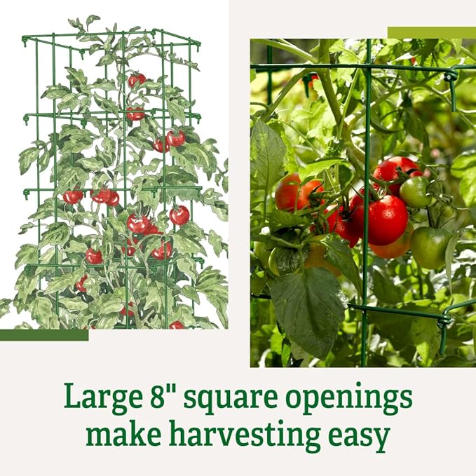 Gardener’s Supply Company Lifetime Tomato Cages | Heavy Gauge Sturdy Garden Plant Supports for Vegetables and Other Climbing Plants | No Assembly Needed - Green (Set of 4)