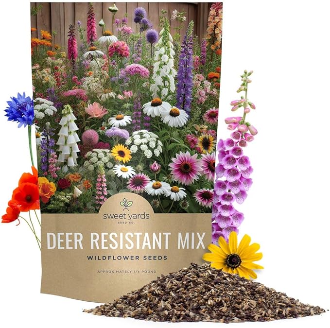 Deer Resistant Wildflower Seed Mixture - Bulk 1/4 Pound Bag - Over 60000 Deer Tolerant Seeds - Open Pollinated and Non GMO