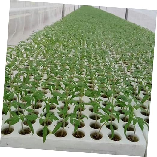POPETPOP 2sets for Plants Wool Grow Cubes Complete Hydroponic Kit No Root Interference 40pcs*2