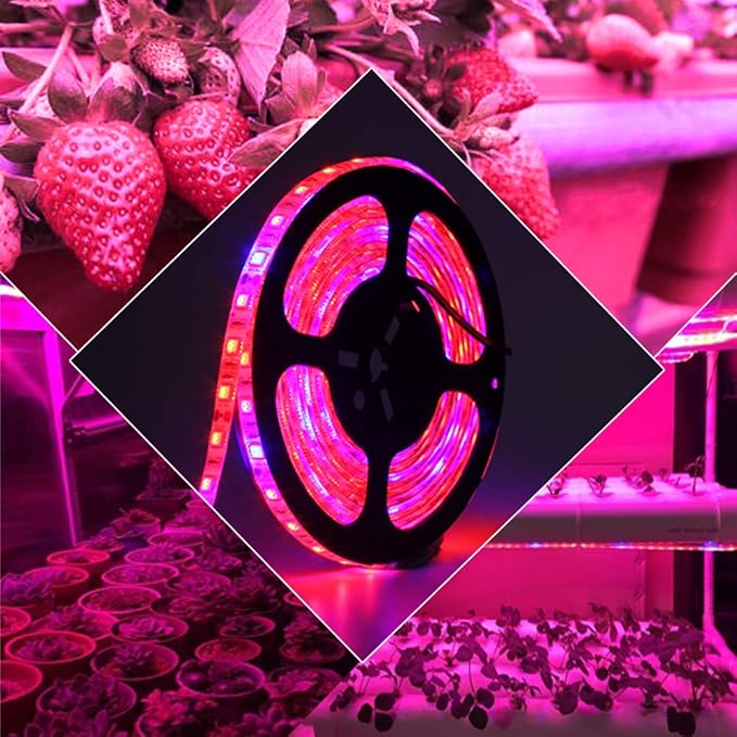 Fengyan Landscape Lights 5M LED Phyto Lamps Grow Lights SMD 5050 LED Strip Light DC12V Flower Plant Growth Lamps for Greenhouse Hydroponic Plant Growing LED Street Lamp