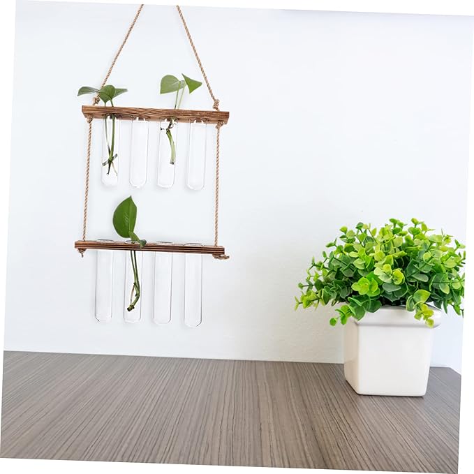 Wall Hanging Propagation Station Hydroponic Kit Plant Propagation Tubes for Home Decor