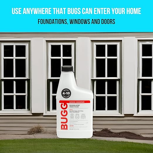 BUGGSLAYER Insecticide - Concentrate - Outdoor Box Elder Bugs Stink Bugs Asian Lady Beetles - 16 oz Bottle