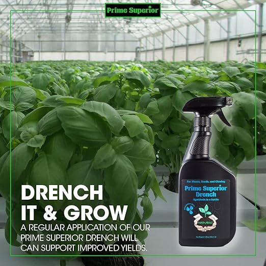 Drench Spray (15 fl.oz) – Plant inoculant &amp Growth Stimulant. Safe for Family Pets &amp Environment. Organic Compliant for Vegetable Gardens lawns &amp House Plants. Indoor &amp Outdoor use.