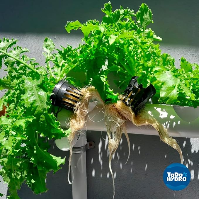 Hydroponic Kit N5 NFT System for 32 Plants Complete Indoor Garden with Nutrients Seeds &amp Accessories