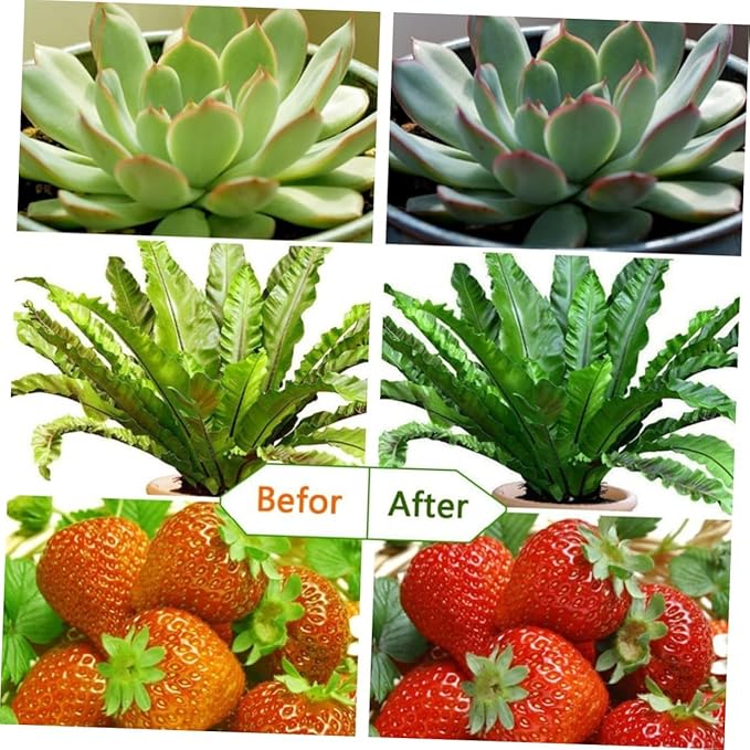9w Led Grow Light Dimmable Levels for Indoor Herb Garden Full Plant Grow Light Timer for Indoor Plants for Fruit Vegetable Garden