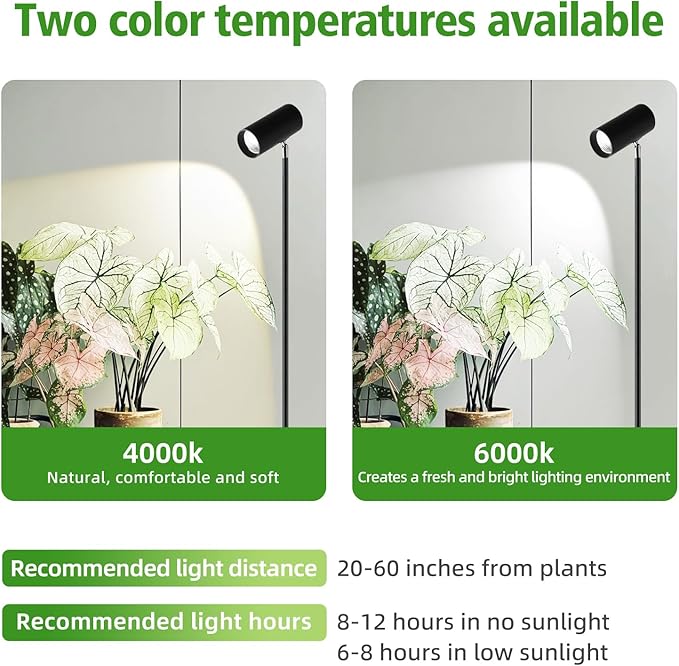 30W Full Spectrum Grow Light Daylight 5000LM High PPFD&ampCRI COB LED Floor Lamp with 6/8/12H Timer Adjustable Height (28-83) &amp Angle Grow Lights for Indoor Plants Succulents &amp Flowers