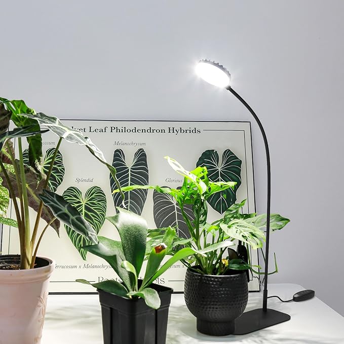 Desktop Plant Grow Light12w Growing Lamps High PpfdFull Spectrum Desk Growth Light with Automatic Timer4 Dimmable Levels（Black）