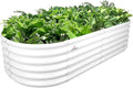 A ANLEOLIFE 6X2X1.5 ft Galvanized Raised Garden Beds Outdoor Oval Round Metal Planter Box for Planting Vegetables Flowers Herb Anti-Rust &amp Easy-Setup Antique White