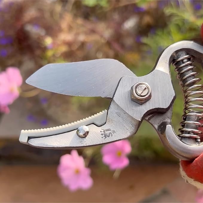 Spear &amp Jackson Drop Forged Bypass &amp Anvil Pruners Set 2 Piece Professional Garden Pruning Tools Durable Steel Blades Comfortable Ergonomic Handles