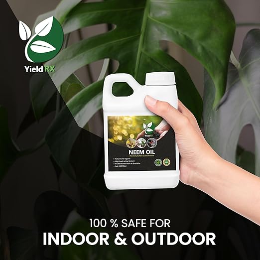 Ready-to-Use Concentrat Neem Oil - Unscented - High Azadirachtin Content Ready-to-Use with Water (1 Gallon)