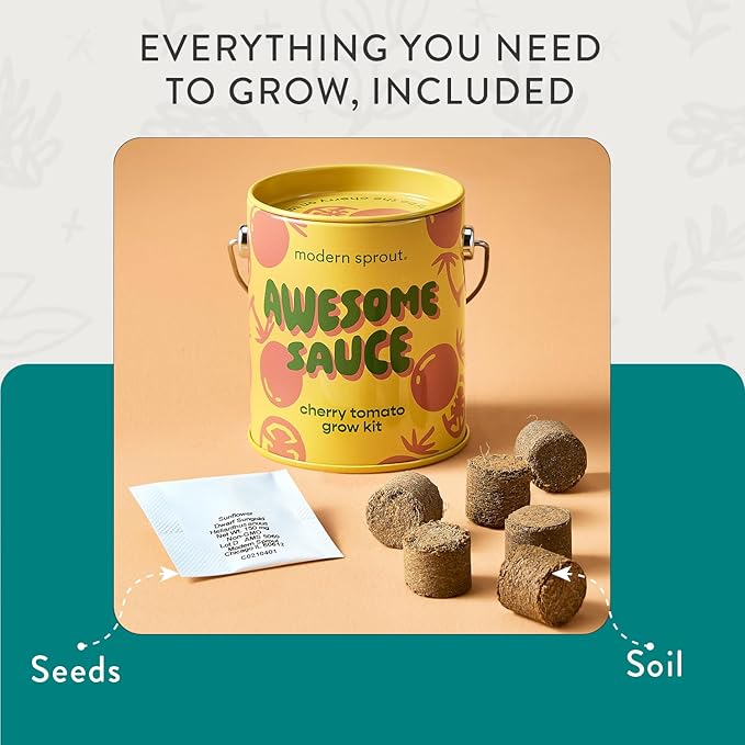 Modern Sprout Complimentary Color Grow Kits (Pack of 4) - Seed Starter Kit - Includes Organic Strawberry Tomato Sunflower &amp Cactus Seeds - Easter Basket Essentials - Gardening Gifts that Grows w/L